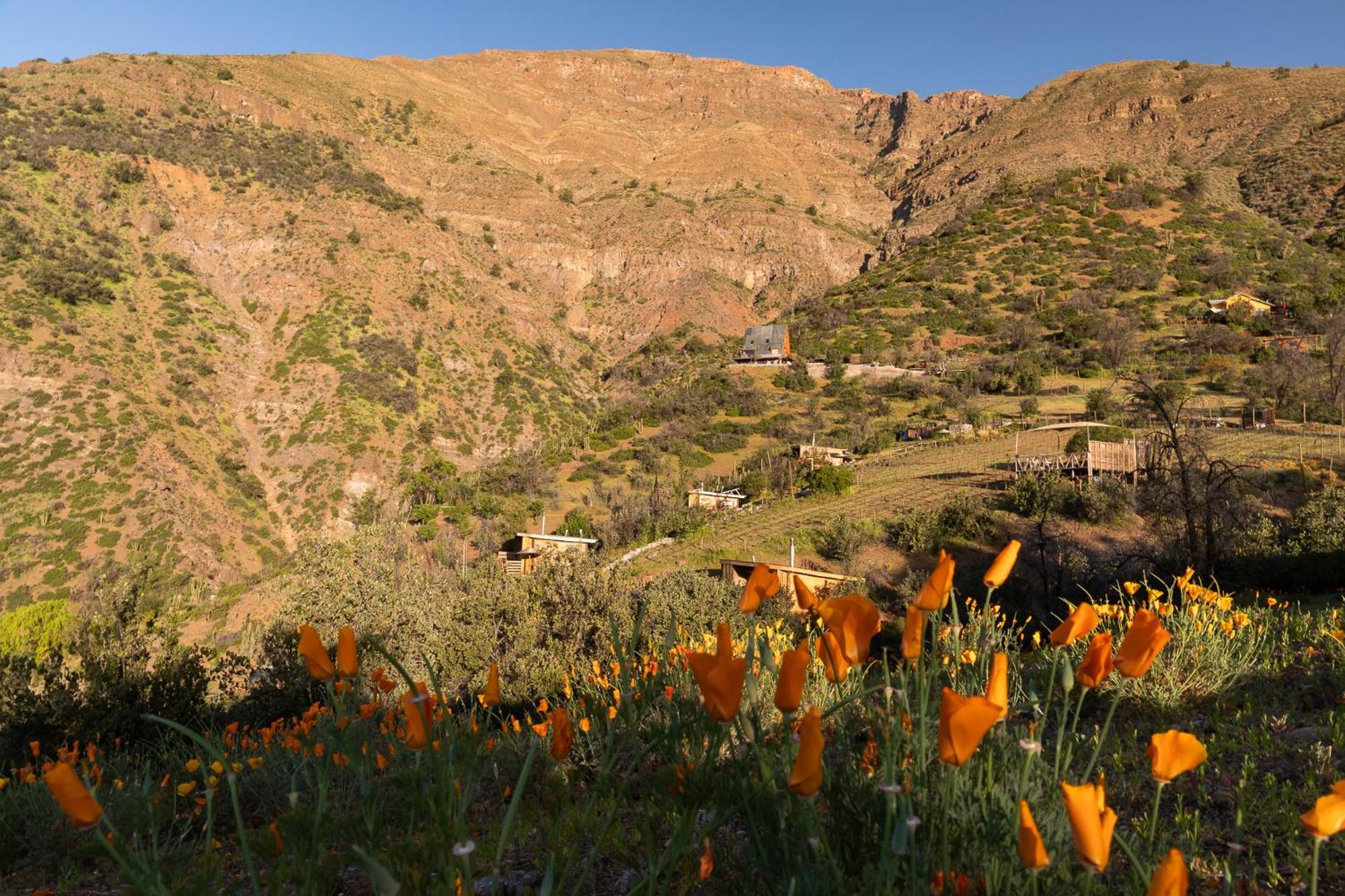 Origen Del Maipo Lodge San Jose de Maipo Bagian luar foto